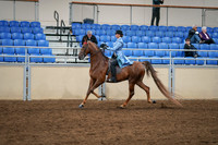 2020 - AB Morgan Horse - Sat, Sept 05 - 03313