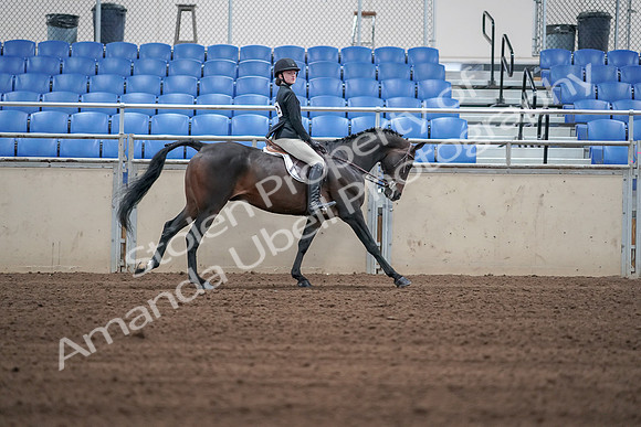 2019 Morgan Horse Show - Sept 01, 2019 - 03895