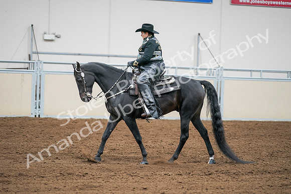 2020 - AB Morgan Horse - Sat, Sept 05 - 08964