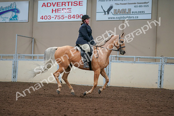 2019 Morgan Horse Show - Aug 30, 2019 - 16426