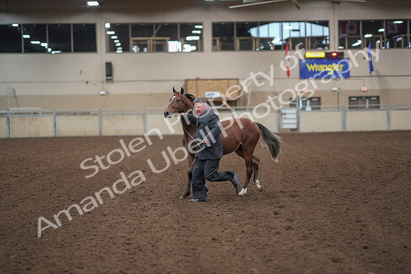2019 Morgan Horse Show - Aug 31, 2019 - 00244