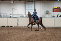 2020 - AB Morgan Horse - Fri, Sept 04 - 07857
