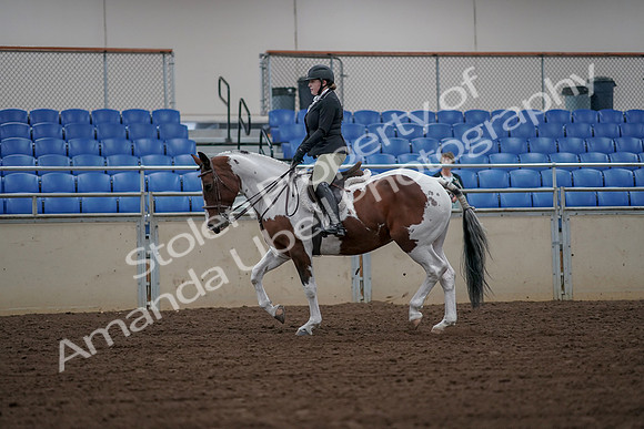 2019 Morgan Horse Show - Aug 30, 2019 - 14922