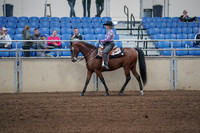 2019 Morgan Horse Show - Sept 01, 2019 - 06770