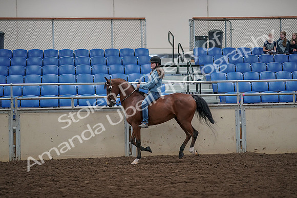 2019 Morgan Horse Show - Aug 30, 2019 - 31324