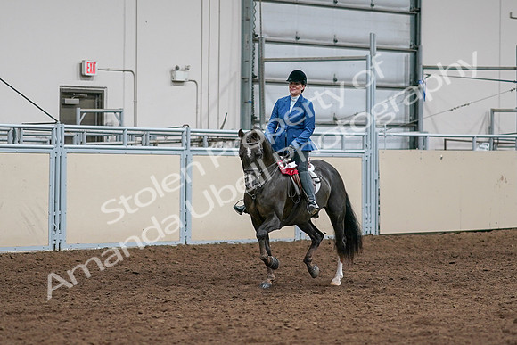 2020 - AB Morgan Horse - Sat, Sept 05 - 05229
