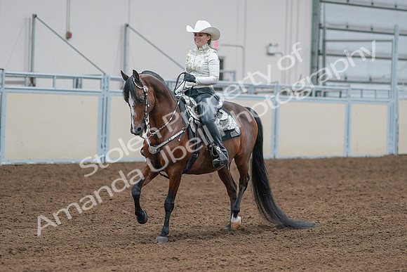 2020 - AB Morgan Horse - Sat, Sept 05 - 09017
