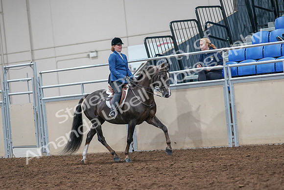 2020 - AB Morgan Horse - Sat, Sept 05 - 05070