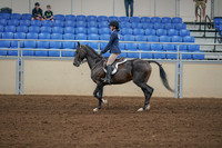 2020 - AB Morgan Horse - Sat, Sept 05 - 01176