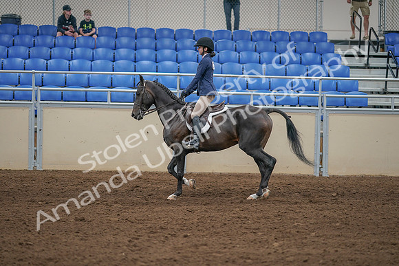 2020 - AB Morgan Horse - Sat, Sept 05 - 01176