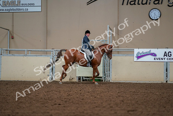 2019 Morgan Horse Show - Aug 30, 2019 - 22558