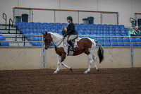 2019 Morgan Horse Show - Aug 30, 2019 - 14860
