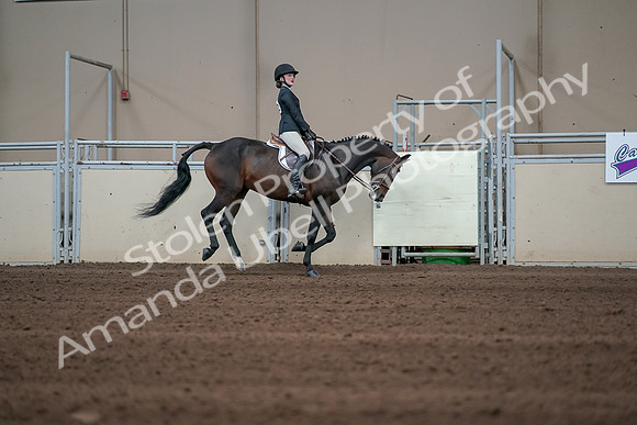 2019 Morgan Horse Show - Sept 01, 2019 - 03913