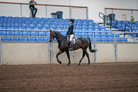 2019 Morgan Horse Show - Sept 01, 2019 - 03647