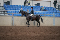 2019 Morgan Horse Show - Sept 01, 2019 - 09008