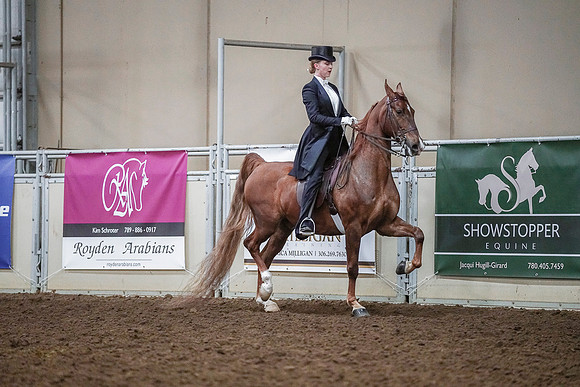 Spring Fling - Saturday - April 20, 2019  -  04240