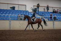 2019 Morgan Horse Show - Aug 31, 2019 - 05547