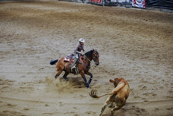 DSC07900