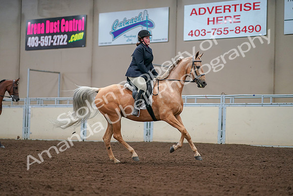 2019 Morgan Horse Show - Aug 30, 2019 - 16417