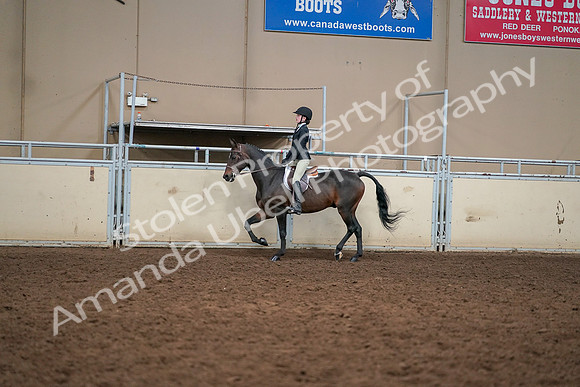 2019 Morgan Horse Show - Aug 30, 2019 - 12209