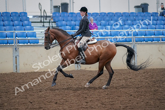 2019 Morgan Horse Show - Aug 30, 2019 - 20613