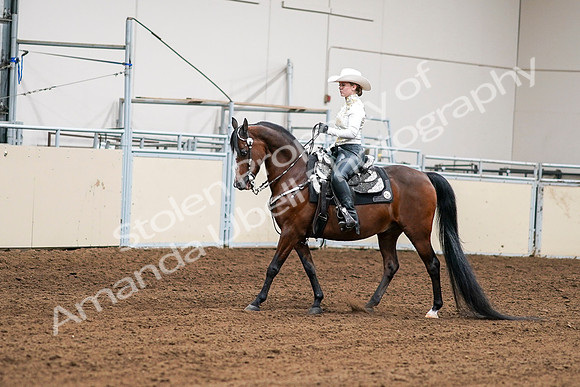 2020 - AB Morgan Horse - Sat, Sept 05 - 08972