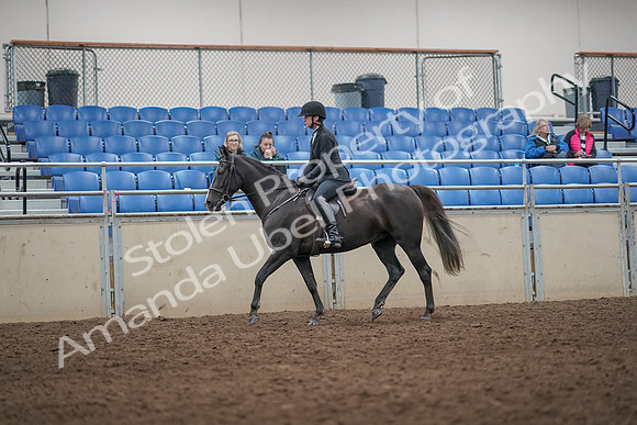 2019 Morgan Horse Show - Aug 31, 2019 - 07173