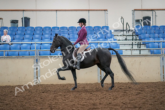 2019 Morgan Horse Show - Aug 30, 2019 - 23167