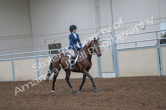 2020 - AB Morgan Horse - Fri, Sept 04 - 06066