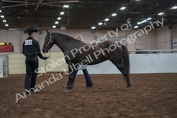 2019 Morgan Horse Show - Aug 31, 2019 - 02043