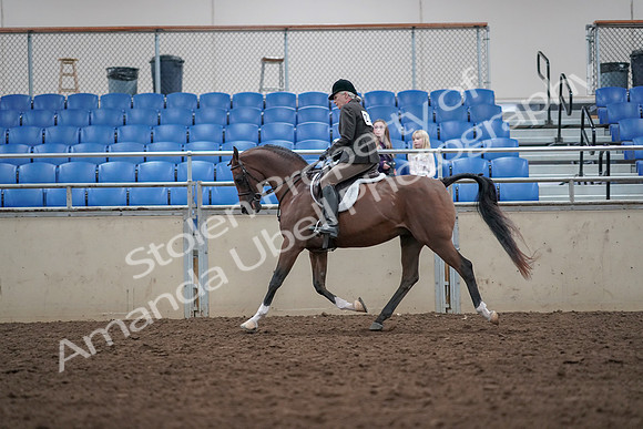 2019 Morgan Horse Show - Aug 31, 2019 - 15916