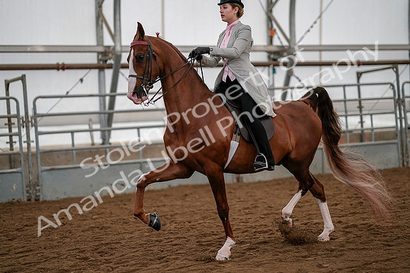 July 19, 2019 - 10565