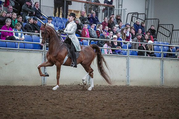 Spring Fling - Saturday - April 20, 2019  -  00453