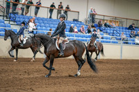 2020 - AB Morgan Horse - Sat, Sept 05 - 10603