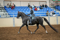 2020 - AB Morgan Horse - Sat, Sept 05 - 13582