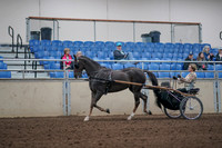2019 Morgan Horse Show - Aug 31, 2019 - 10254