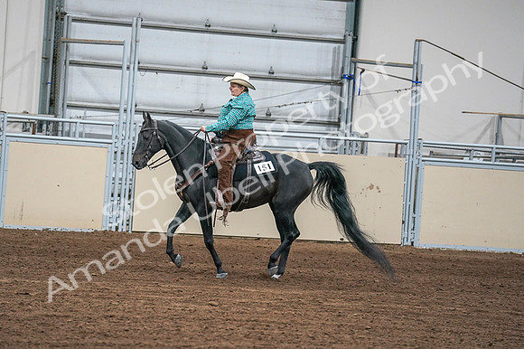 2020 - AB Morgan Horse - Fri, Sept 04 - 00594
