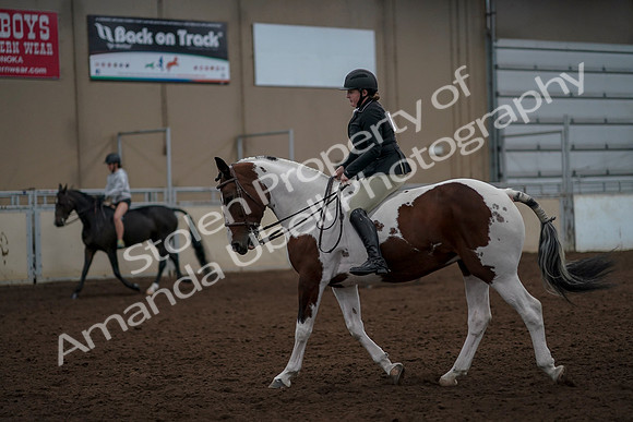 2019 Morgan Horse Show - Aug 30, 2019 - 31165