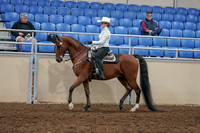 2020 - AB Morgan Horse - Sun, Sept 06 - 07474