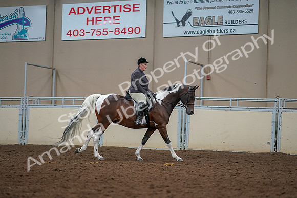 2019 Morgan Horse Show - Aug 30, 2019 - 22509