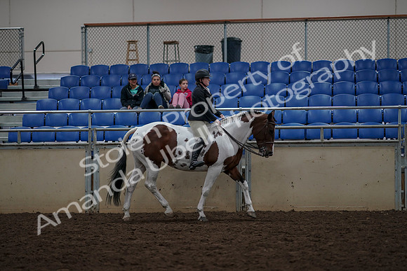 2019 Morgan Horse Show - Aug 30, 2019 - 31419