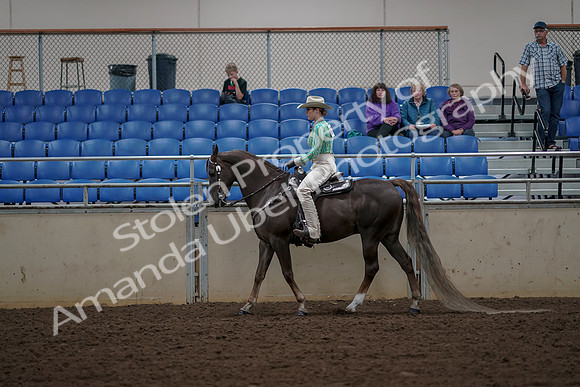 2019 Morgan Horse Show - Aug 30, 2019 - 25955