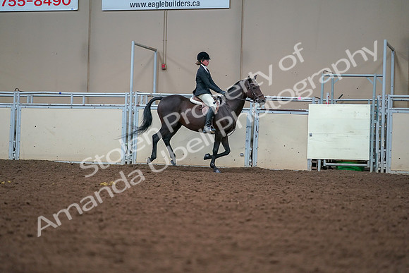 2019 Morgan Horse Show - Aug 30, 2019 - 21075
