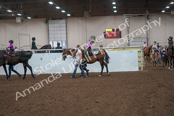 2019 Morgan Horse Show - Aug 31, 2019 - 18897