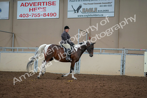 2019 Morgan Horse Show - Aug 30, 2019 - 22511