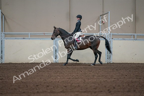 2019 Morgan Horse Show - Sept 01, 2019 - 03986