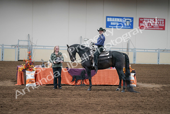 2020 - AB Morgan Horse - Sun, Sept 06 - 07636