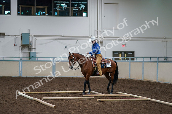 2020 - AB Morgan Horse - Fri, Sept 04 - 00264