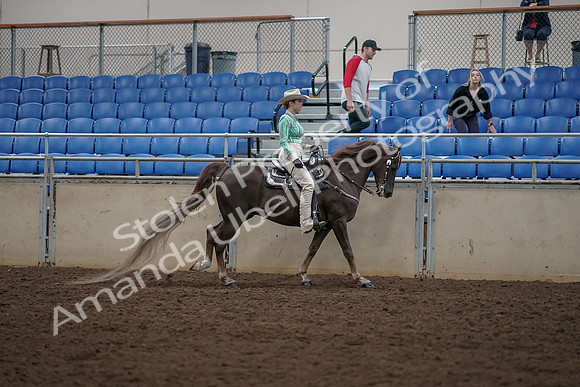 2019 Morgan Horse Show - Aug 30, 2019 - 26157