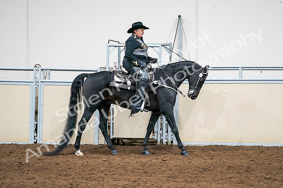2020 - AB Morgan Horse - Sat, Sept 05 - 08951
